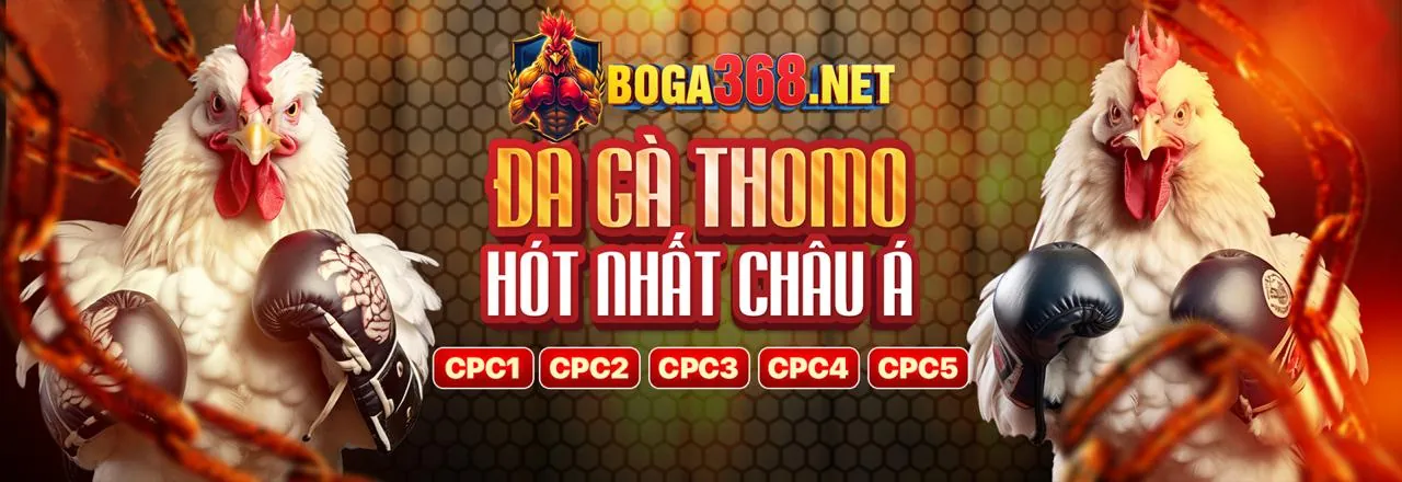 Sân chơi đá gà trực tuyến 188bet Thể Thao 2026 với những trận đấu kịch tính